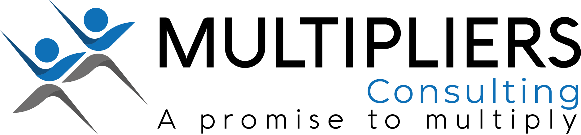 Logo Multipliers